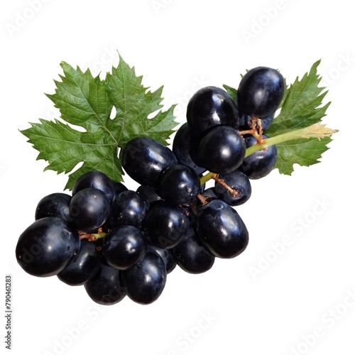 Fresh Grapes isolated on the white background