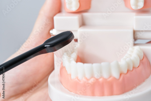 歯ブラシと歯列模型 photo