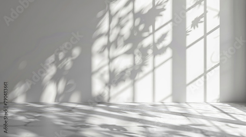 Transparent Shadow Overlay Effect Mockup with Natural Lighting