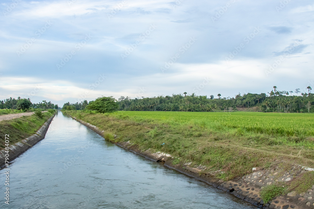 Irrigation of rice fields in Indonesia Irrigation of rice fields in Indonesia