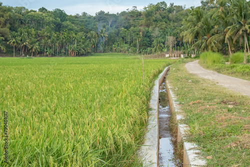 Irrigation of rice fields in Indonesia