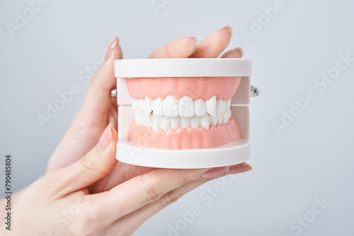 歯列模型を持つ女性の手元 photo