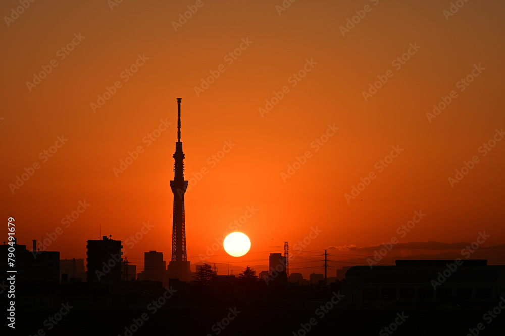 Naklejka premium スカイツリーと夕日