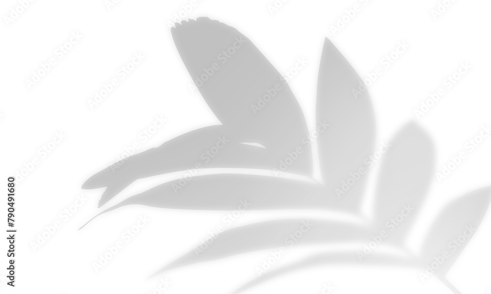 Obraz premium Shadow overlay effect, light overlay