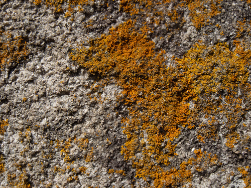 Old, rough rock surface background. Natural texture with orange lichen.