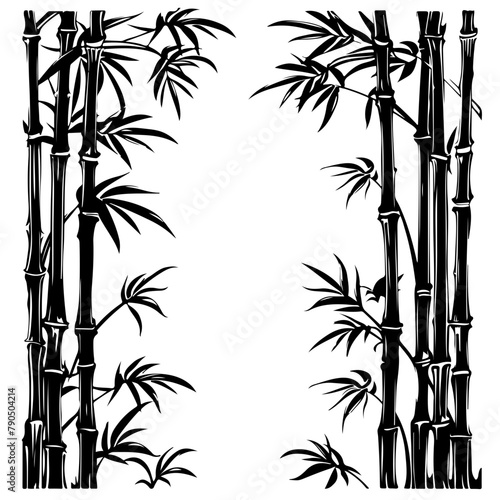 Fototapeta Naklejka Na Ścianę i Meble -  Tall thin bamboo plants
