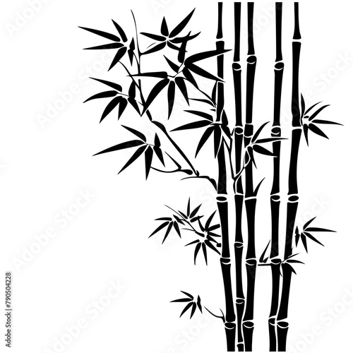 Fototapeta Naklejka Na Ścianę i Meble -  Tall black bamboo stalks