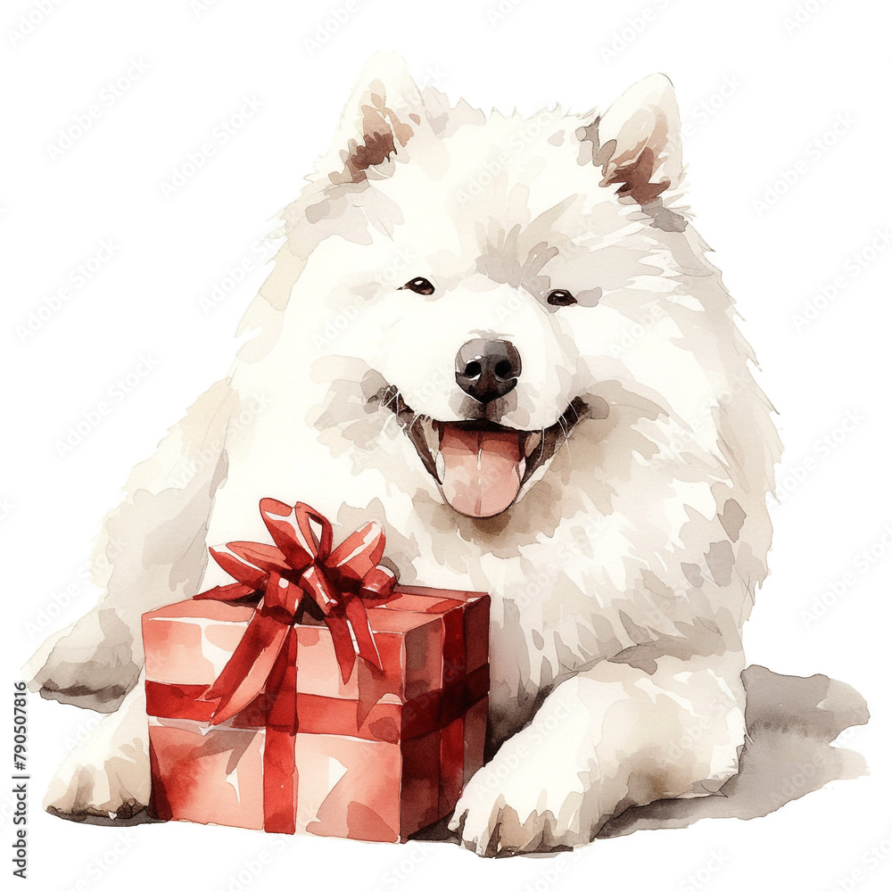 Cute Samoyed With Gift Box In Watercolor Style Create Cute Samoyed With Gift Box In Watercolor Style Create