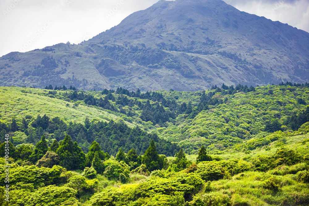 a lush green plateau nestled in the high mountains