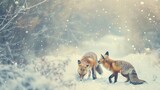 Playful Red Foxes in Snowy Meadow Vintage Filter.