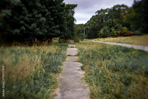 Peaceful sidewalk in a storm