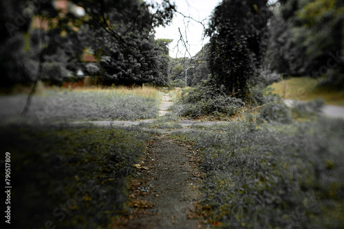 Deserted walking paths in the neighborhood