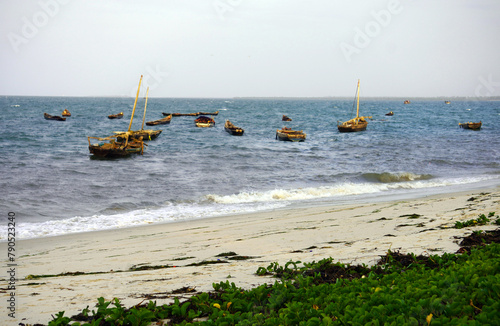 Fishing dhows moored near the shore with a white sand beach and grass in the foreground