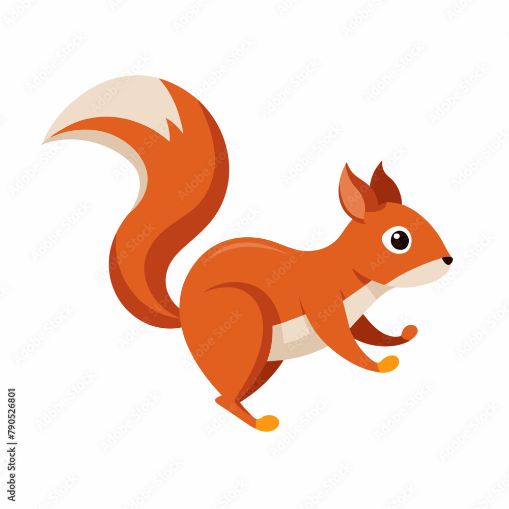 Squirrel vector illustration, a Running squirrel, squirrel eating nut vector Squirrel vector illustration, a Running squirrel, squirrel eating nut vector