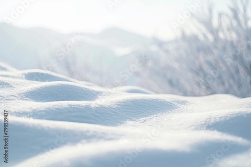 Soft Winter Light on Snowy Landscape