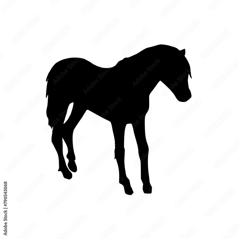 horse silhouette design black | Vector illustration of a horse icon svg
