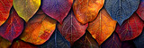 Colorful leaves lying on the ground background in the style of a color palette perfect.