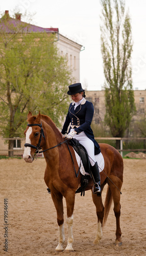 Elegant rider in salute on chestnut horse against urban setting © Vagengeim