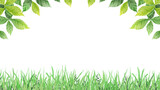 草原　葉っぱ　枠　飾り　素材　見出し　さわやか　シンプル　行楽　レジャー　ピクニック　ハイキング　遠足　初夏　夏　イメージ　白背景　透過　16:9