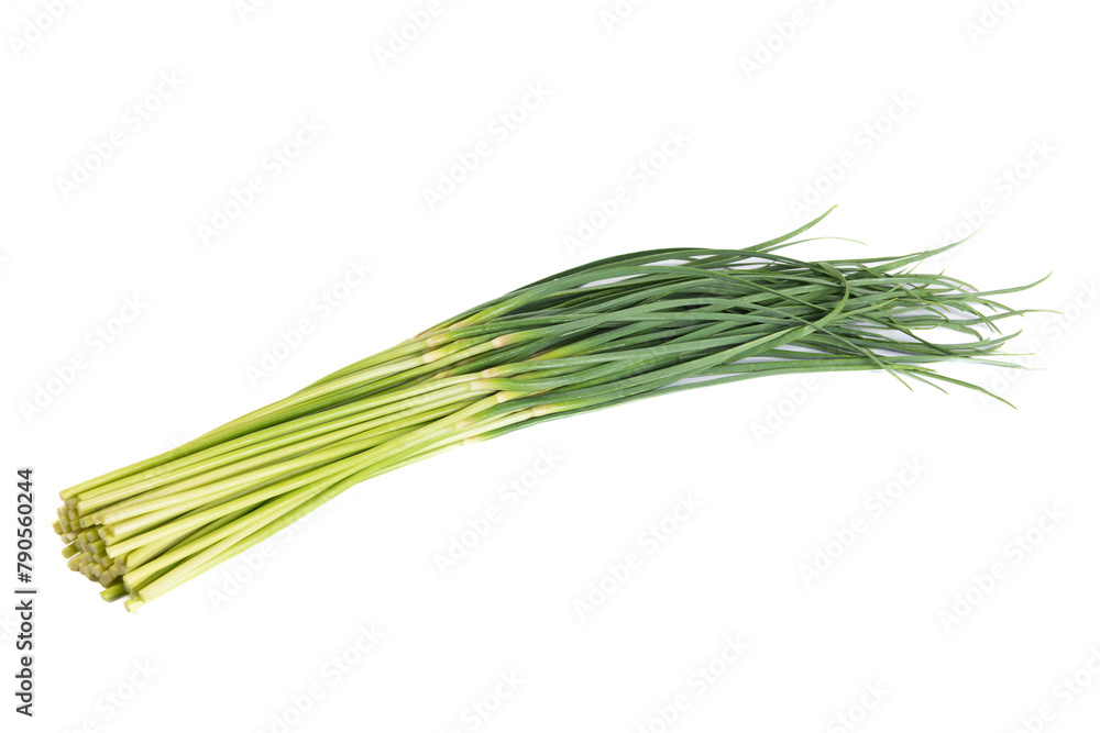 fresh garlic bolt isolated on the white background fresh garlic bolt isolated on the white background