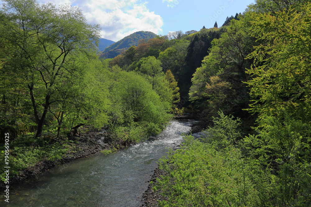 青森県白神山地を流れる笹内川