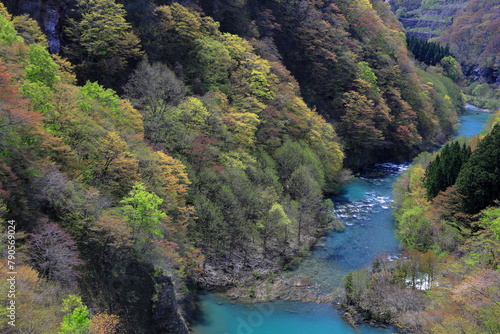 秋田県白神山地を、流れる清流、粕毛川 © 汐理 宮本