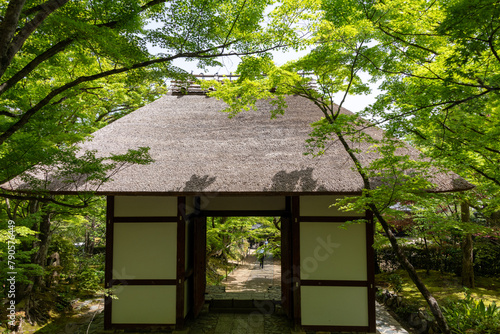 Nio-mon Gate (Gate of Deva) of Jojakko-ji temple in Kyoto, Japan in spring photo