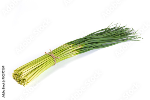 a bunch of garlic bolt isolated on the white background