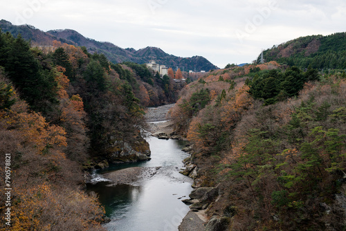A view of a river surrounded by forests in Japan