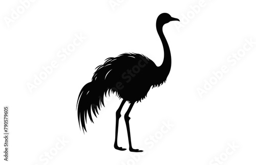 Ostrich Silhouette black vector art isolated on a white background
