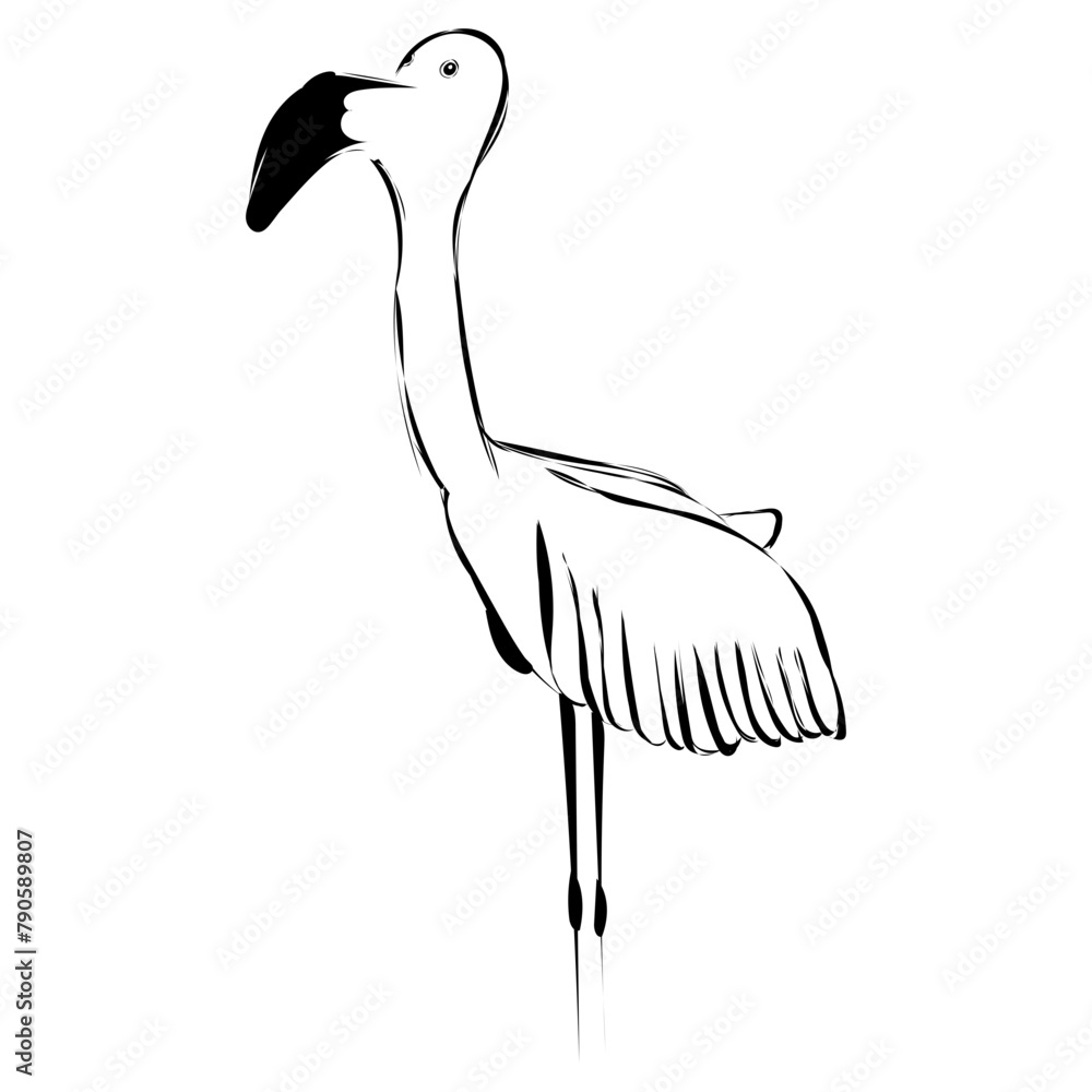 Fototapeta premium Flamingo 