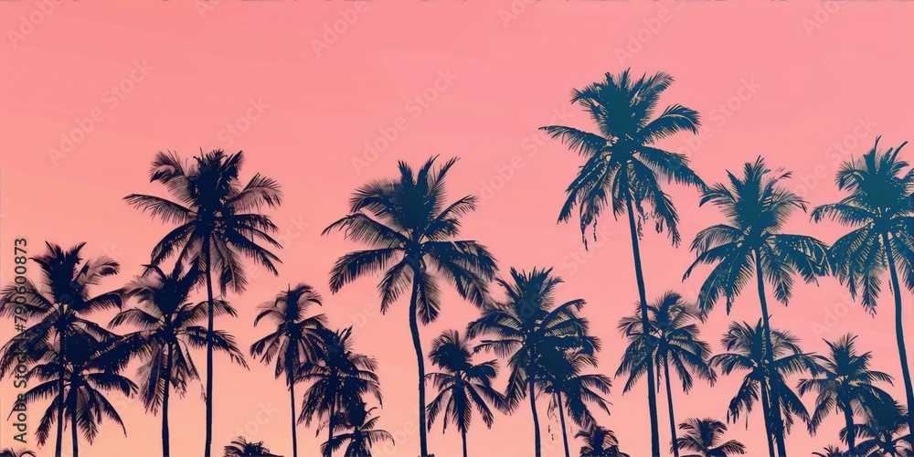 palm tree sunset palm tree sunset