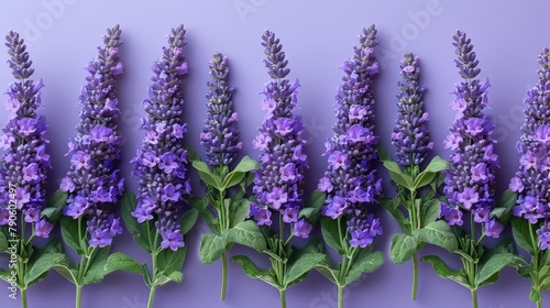   A row of purple flowers sits atop a purple surface  flanked by green leaves on either side