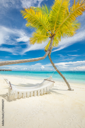 Tropical tourism beach background as summer landscape. Leisure swing or hammock and white sand and calm sea coast. Perfect beachfront scene vacation and summer holiday. Sunny carefree inspire island