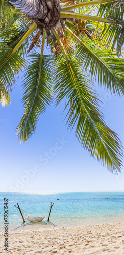 Hamac à l’ombre d’un cocotier sur plage paradisiaque  © Unclesam
