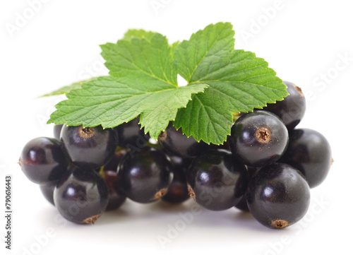 Black currants isolated.