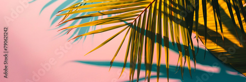 Abstract pink background for product presentation with Tropical green palm leaves on yellow background with copy space. Minimal nature summer concept. Summer Blurred backdrop.