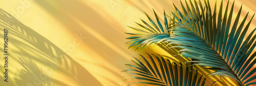 Abstract yellow background for product presentation with Tropical green palm leaves on yellow background with copy space. Minimal nature summer concept. Summer Blurred backdrop.