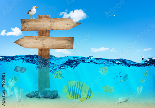 Wooden direction signs with seagull on undersea world background. Copy space