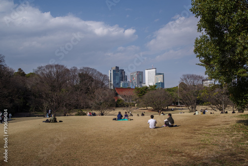 明治神宮北池芝生広場の穏やかな風景