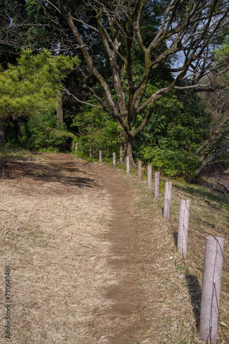 明治神宮北池芝生広場の穏やかな風景