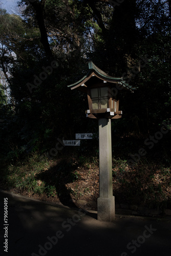 明治神宮の美しい光と影