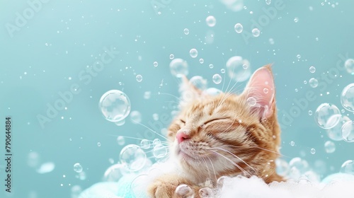 Cat taking a bath with soap bubbles. Copy space