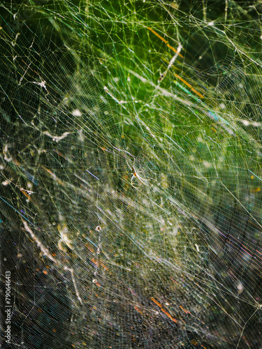Multiple layers of spider webs in natural environment 