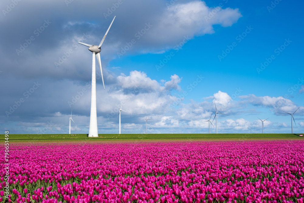 A vast field of vibrant purple flowers dances in the breeze, with towering windmills spinning gracefully in the background amidst the Dutch countryside in spring