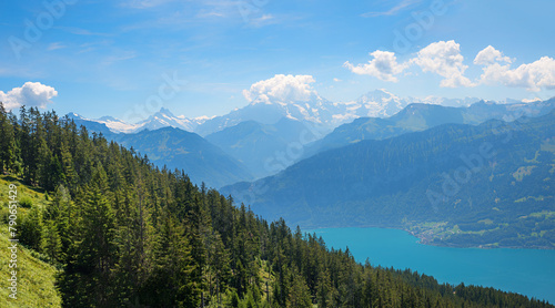View over wooded mountain hills to Lake Thun and the Bernese Alps. Landscape on the Niederhorn