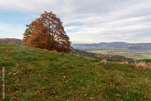 Autumn on Mala Kykula hill in Moravskoslezske Beskydy mountains in Czech republic photo