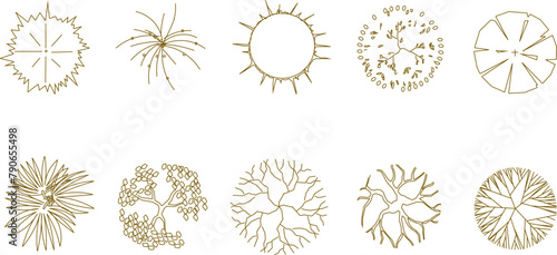 Vector sketch illustration of tree and plant designs seen from above to complete the layout and site plan drawings 
