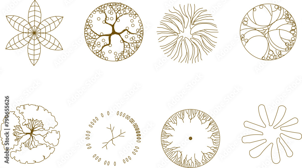 Vector sketch illustration of tree and plant designs seen from above to complete the layout and site plan drawings Vector sketch illustration of tree and plant designs seen from above to complete the layout and site plan drawings