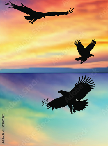 three eagles flying in sunset sky © Alexander Potapov